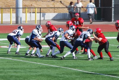 dsc_0679a.jpg