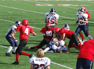 dsc_0701a.jpg