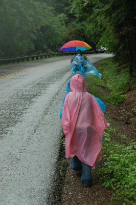 Glacier NP - Hike on the Rain