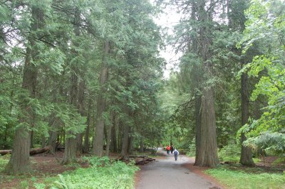 Glacier NP - Hike on the Rain