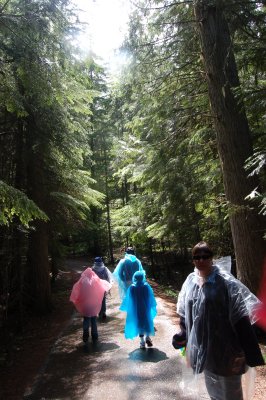 Glacier NP - Hike on the Rain