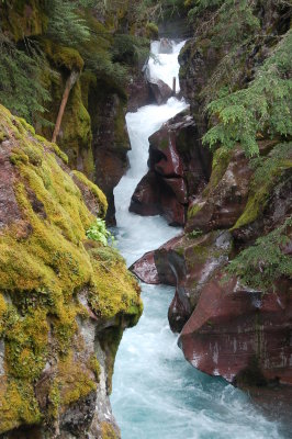 Glacier NP - Hike on the Rain