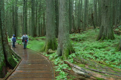 Glacier NP - Hike on the Rain