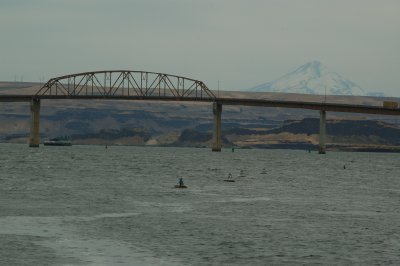 DSC_0044.JPG