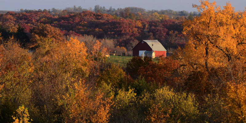 Worth County Barn in Fall