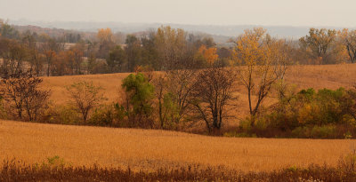 Fall Colors at Whitton Switch