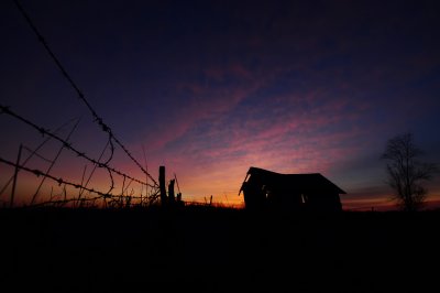 Fence Row Sunrise