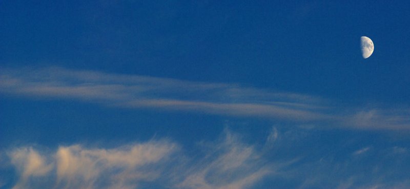 early evening moon