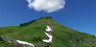 Yellow Aster Butte