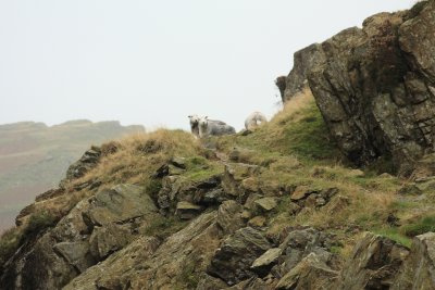 IMG_0281copy.JPG