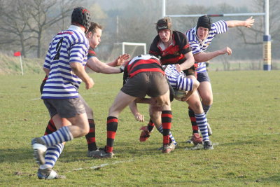 IMG_2477 copy.JPG