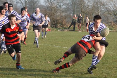 IMG_2484 copy.JPG