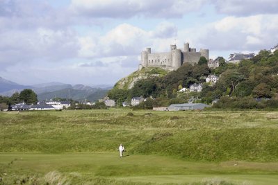 Harlech 16