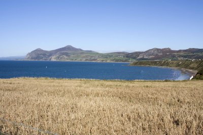 Nefyn 19