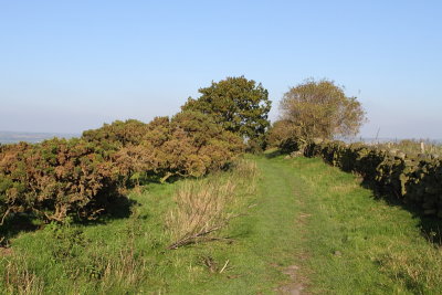 DPP_John's walk (3)10-10-0010.JPG