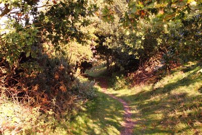 DPP_John's walk (3)10-10-0013.JPG