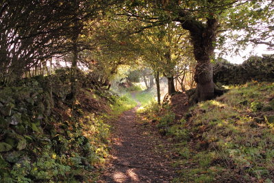 DPP_John's walk (3)10-10-0014.JPG