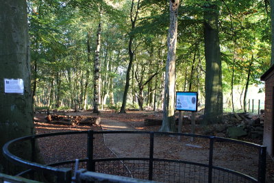 DPP_John's walk (3)10-10-0029.JPG
