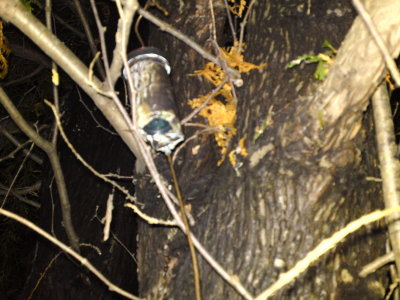 0165 JOANNE'S CACHE
