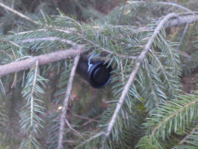 0172 Thomas' Ring