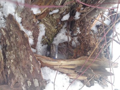 0206 Justafind Cache