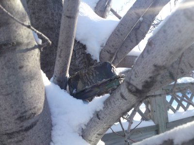 0208 MT Cache