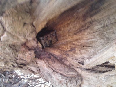 0221 Lincoln Logs