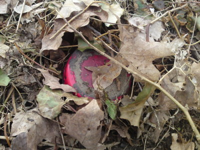 0227 AJ's Cache