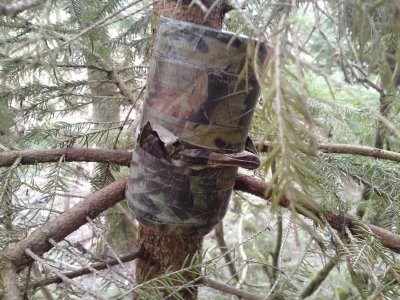 0254 Strathroy Marsh walk