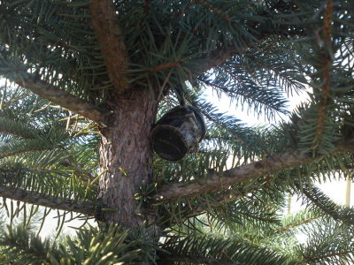 0306 Hangin around Georgian Mall
