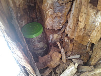 0337 Gas, Burger and a Cache