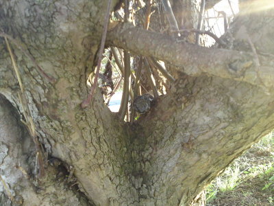 0402 A Living Memorial
