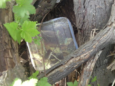 0412 Hyde Park Hide