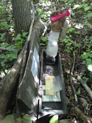 0417 The Cache Butler