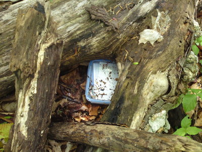 0425 Mothers Day Cache