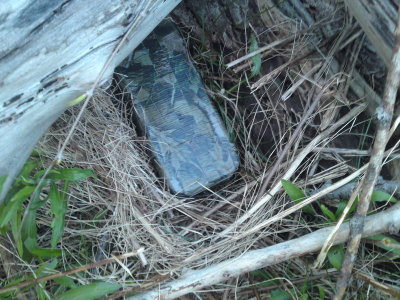 0427 Kiwanis Cache #2 - Tupperware in the Woods