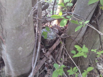0442 Carter's Cache