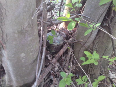 0442 Carters Cache