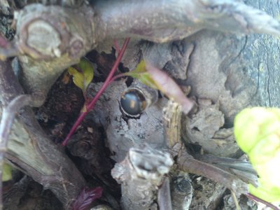 0457 Basic Cache