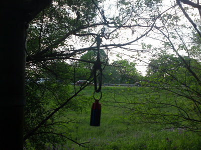0503 Micro Manage This! - Dogford Park