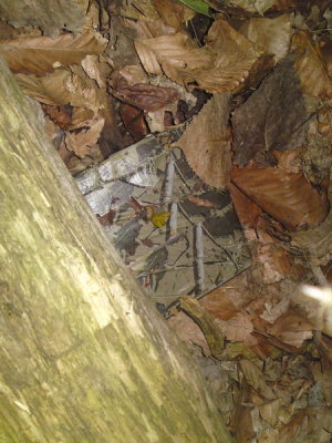 0527 Carolinian Cache