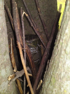 DSC02330_resize.JPG