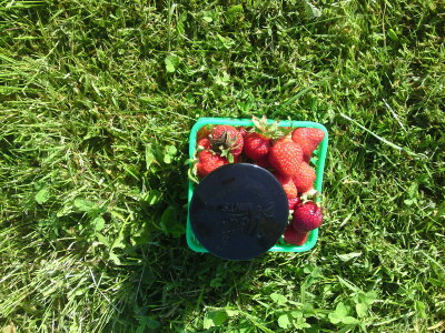 DSC02345_resize.JPG