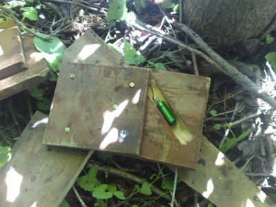 DSC02347_resize.JPG