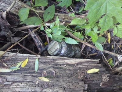 DSC02348_resize.JPG