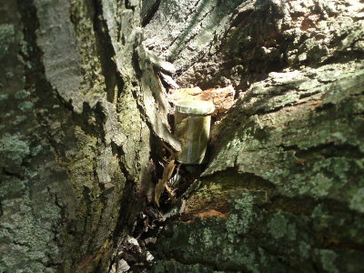 DSC02349_resize.JPG