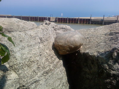 DSC02388_resize.JPG