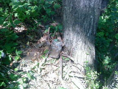 DSC02393_resize.JPG