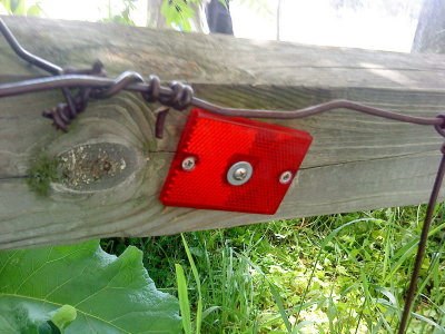 DSC02401_resize.JPG