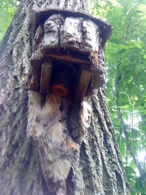 DSC02405_resize.JPG